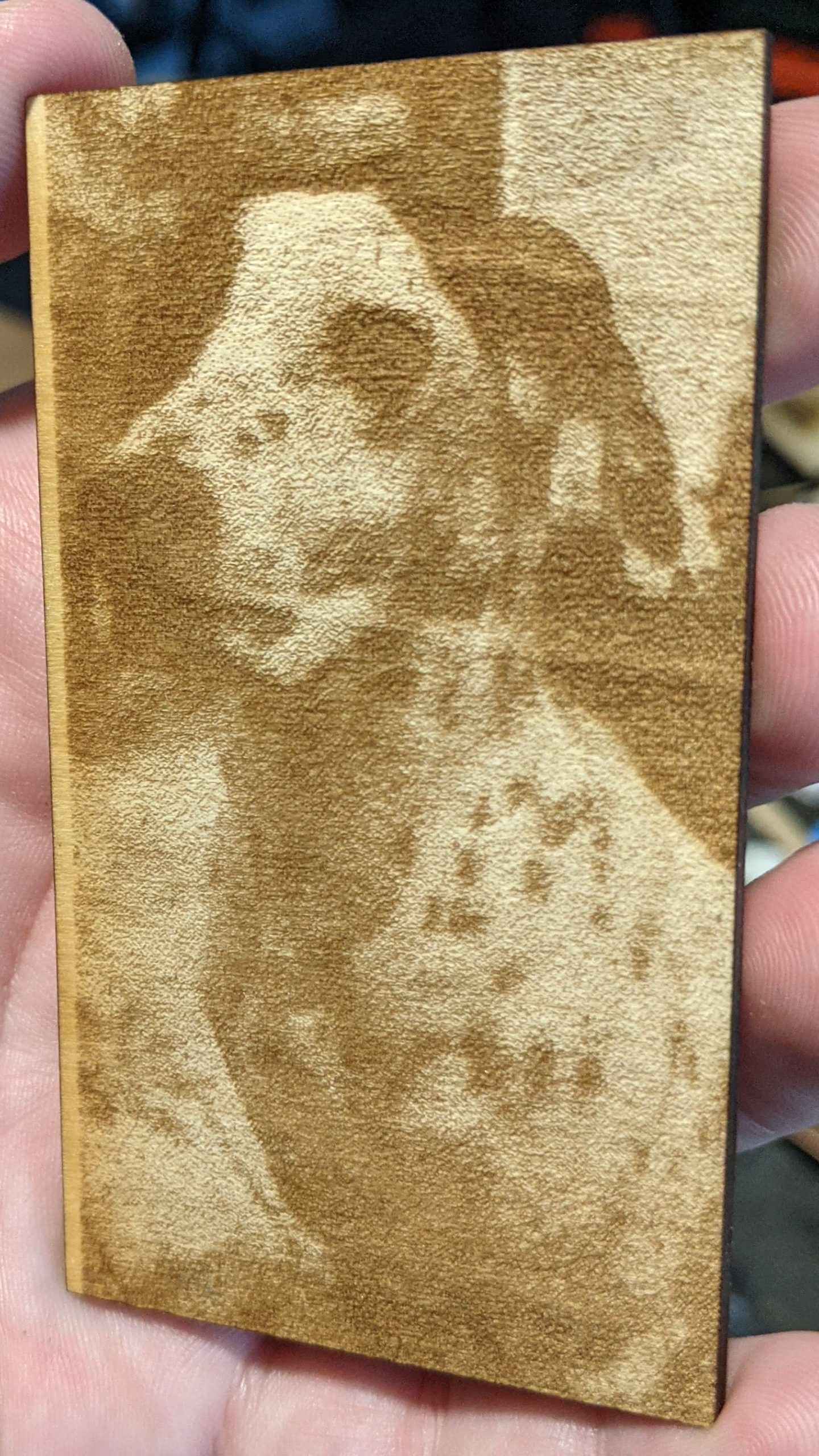 Photo of my dog Handsome Jack engraved on birch plywood showing skipped steps